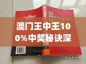 新澳门王中王期期中的实用释义与落实策略