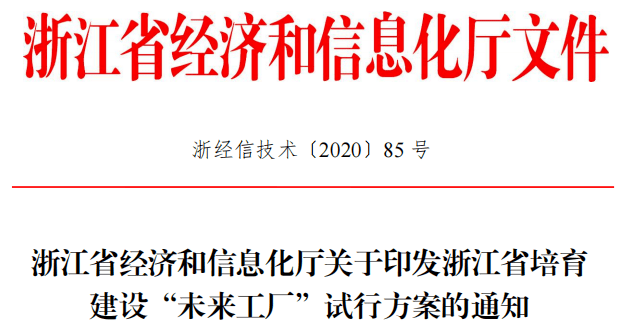 探索澳门未来，精准正版免费策略与行动落实解析