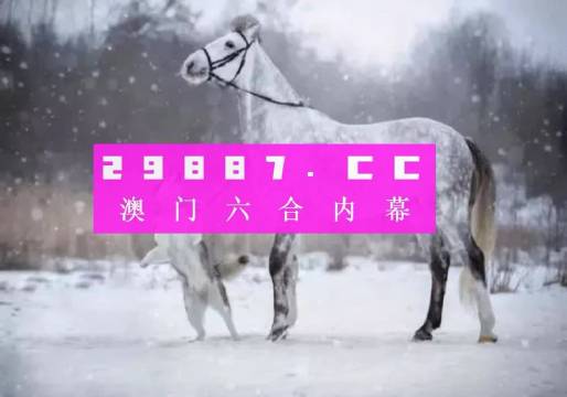 澳门一肖一码精准预测，王中王的实用释义与落实方法