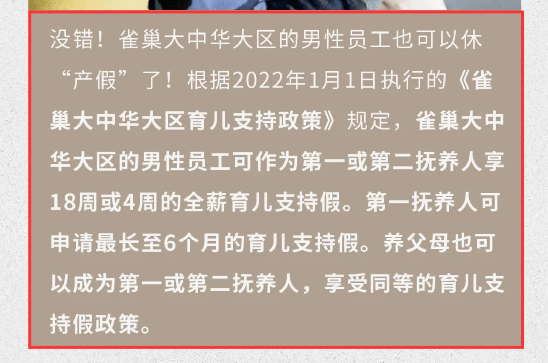 澳门一码一肖一恃一中312期，全面释义与落实解读