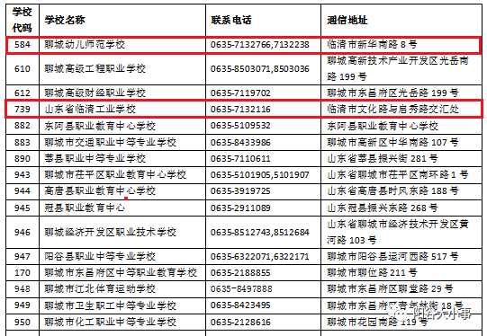 新澳门2025年正版免费公开，精选解析与落实措施